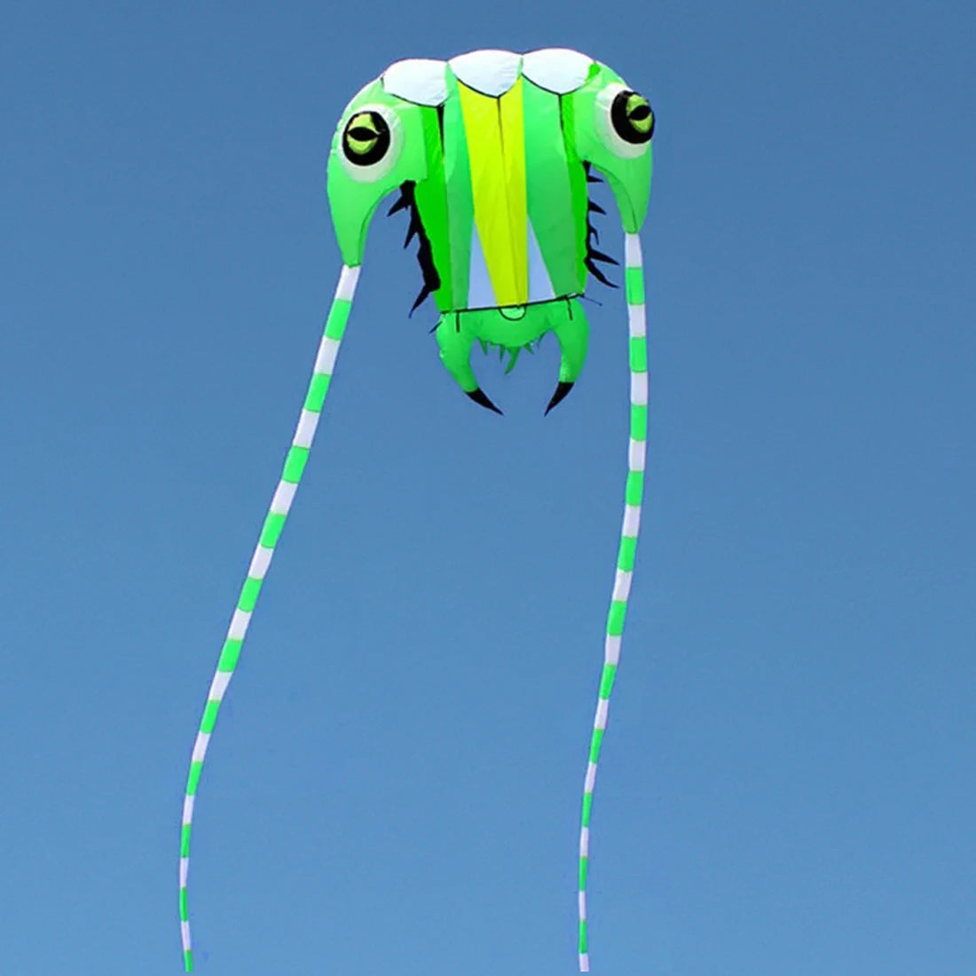 10sqm Large Trilobite Kite