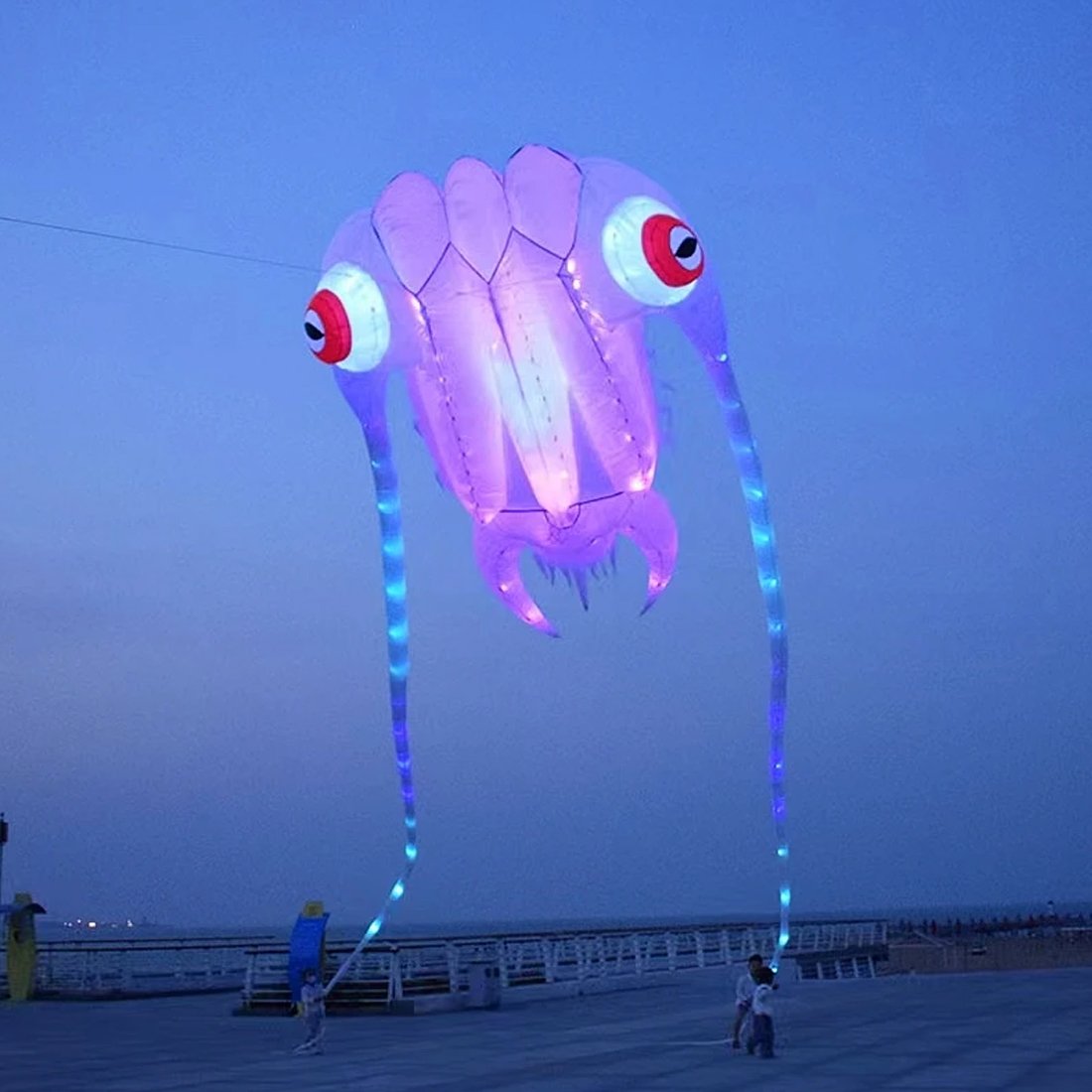 9KM 10sqm Led Trilobite Kite