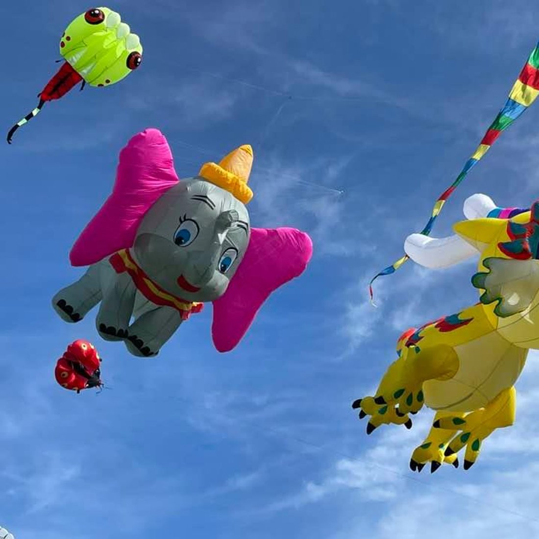 9KM 3m Elephant Kite Line Laundry Pendant Soft Inflatable Show Kite for Kite Festival Best 30D Ripstop Nylon Fabric with Bag