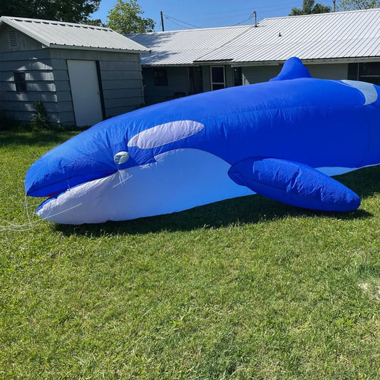 Killer Whale Kite
