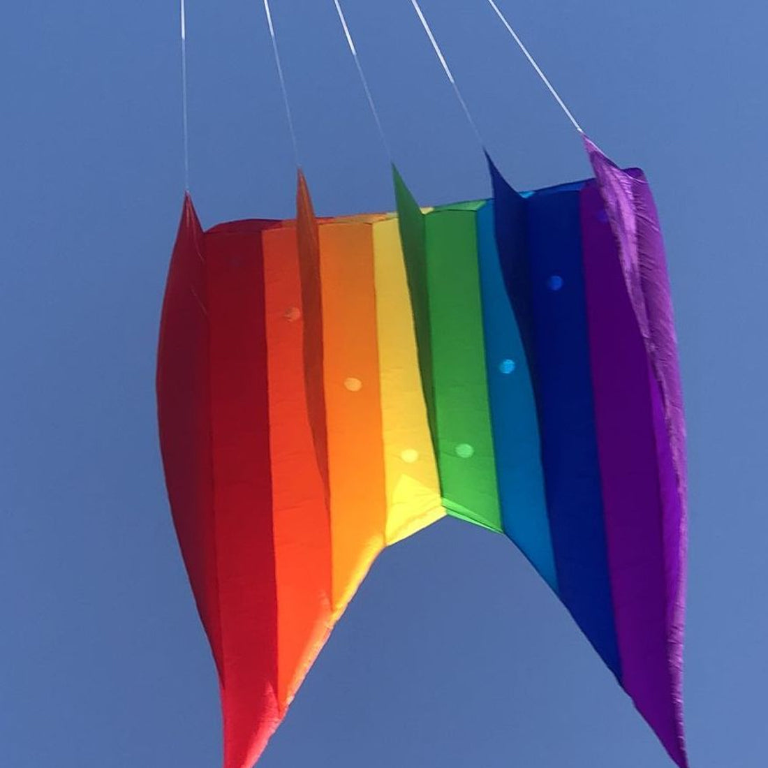 12㎡ Flow Forms Pilot Lifter Kite