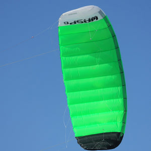 Professional 4~6㎡ 4 Line Power Traction Kite
