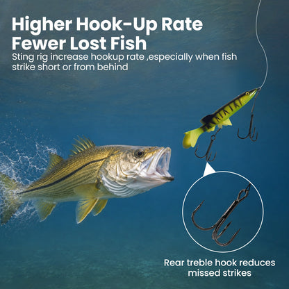 Stinger Rig Pike Stinger Hooks  with Treble Hook