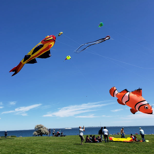 free shipping fish kite flying soft kite for adults inflatable