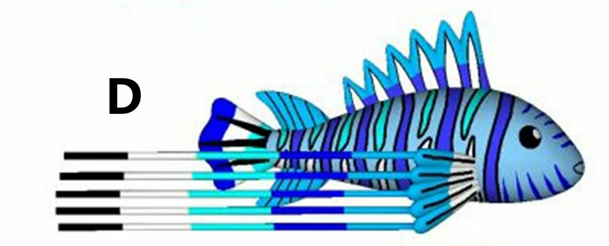 9KM 8m~12m Colorful Lionfish Kite Line Laundry Pendant Soft Inflatable Show Kite for Kite Festival 30D Ripstop Nylon Fabric