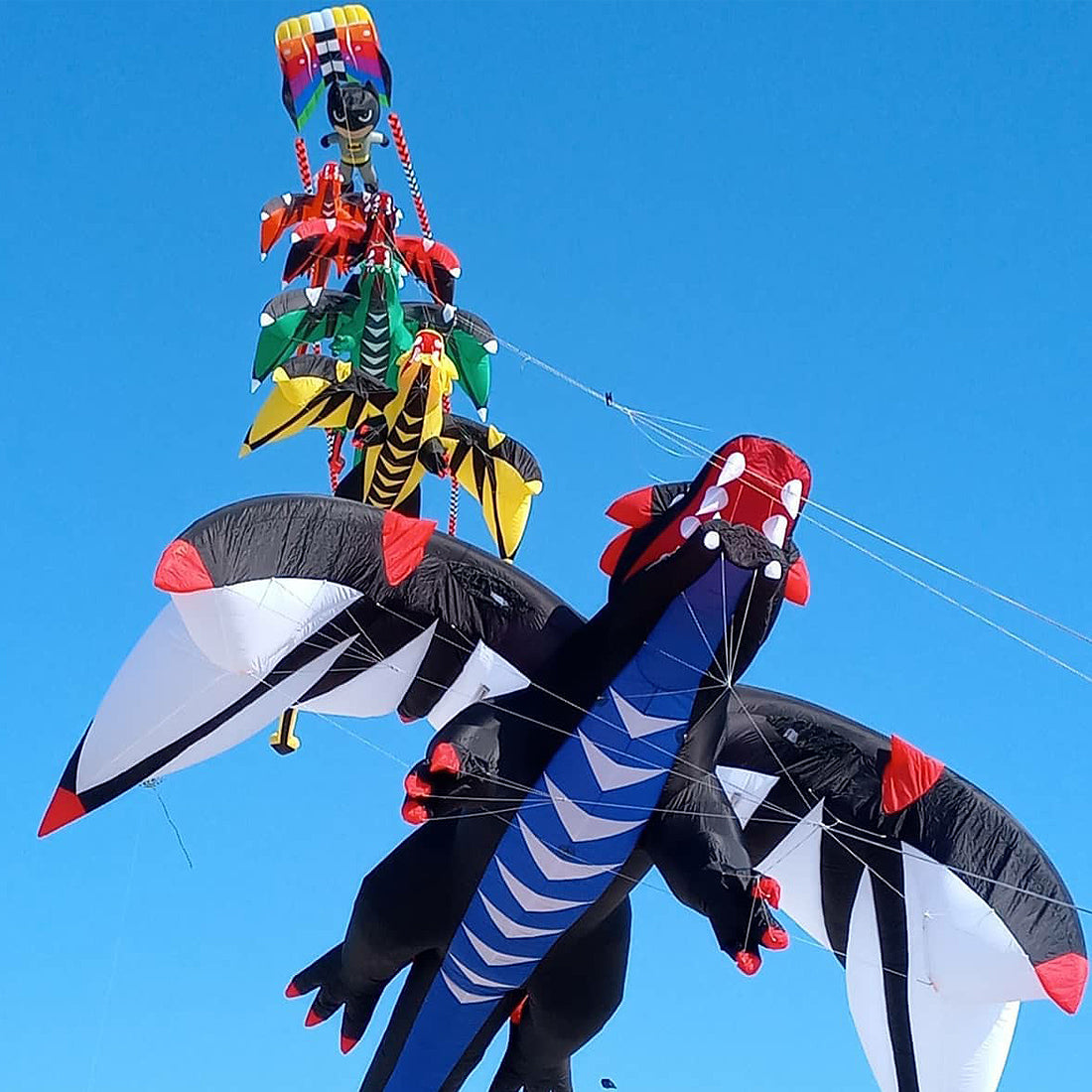 Kite Paperwork 9KM Flow Forms Pilot Lifter Kite 6㎡~12㎡ Single Line Parafoil Kite with ...