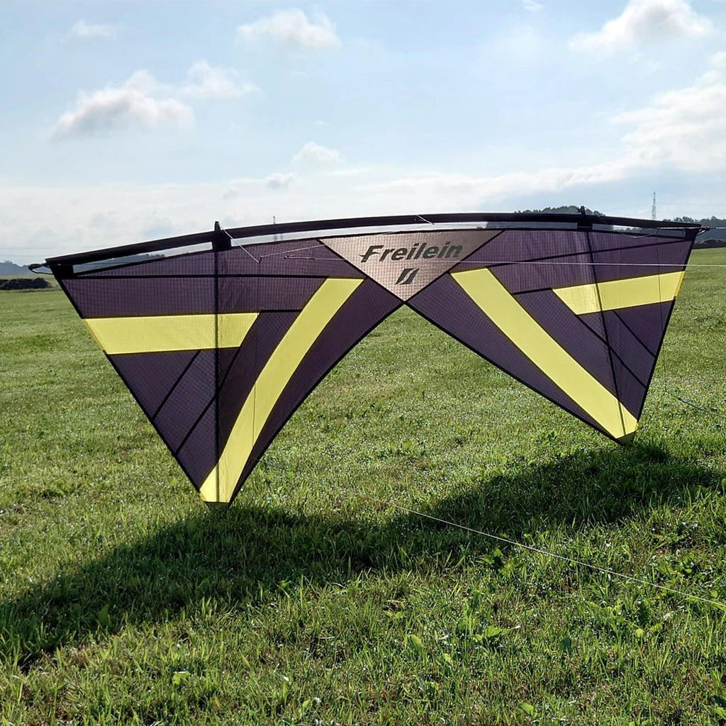 Beginner 4 Line Stunt Kite for Adults Professional Acrobatic Kite