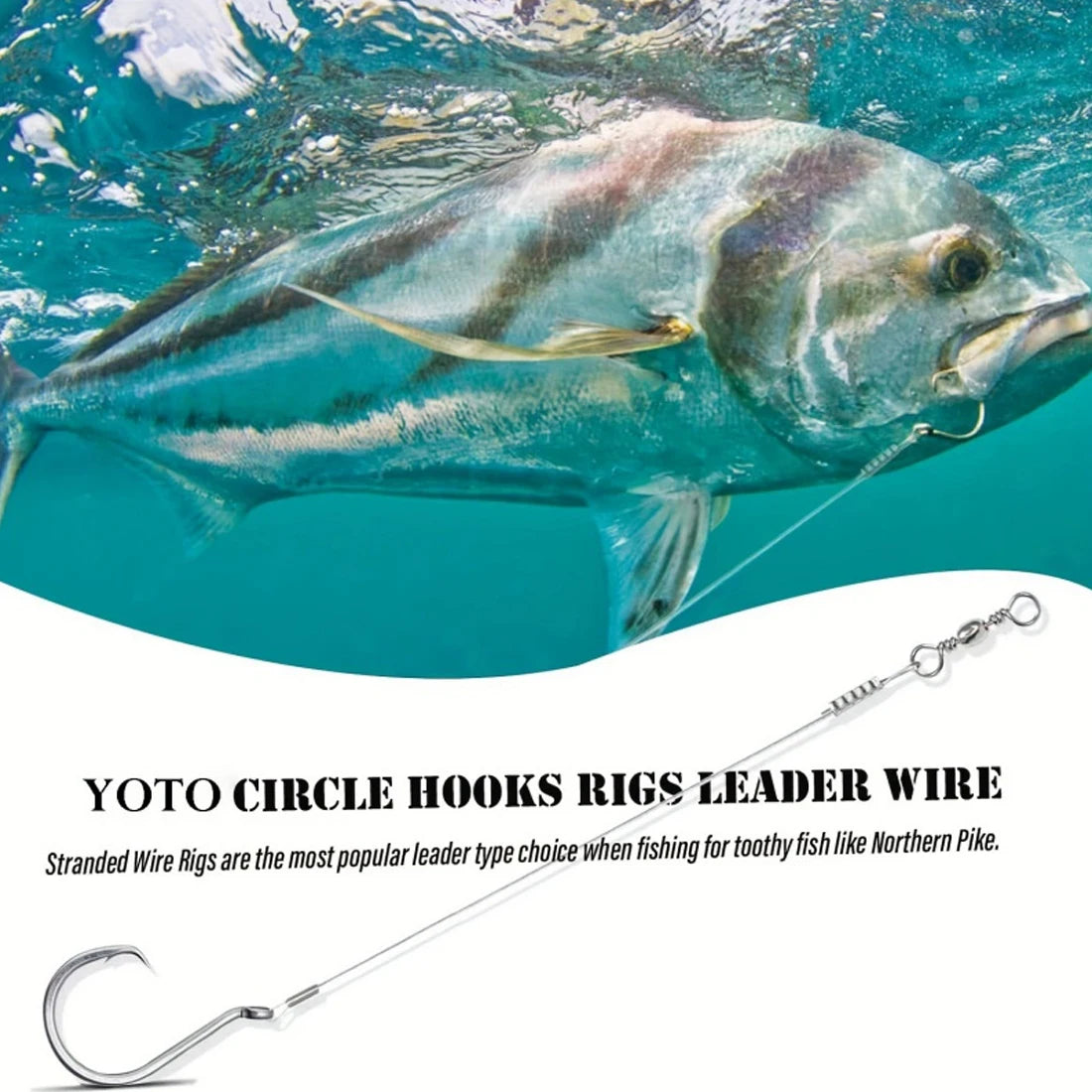 Fishing Rig Set Saltwater Rig - Circle Hook with Leader for Catfish