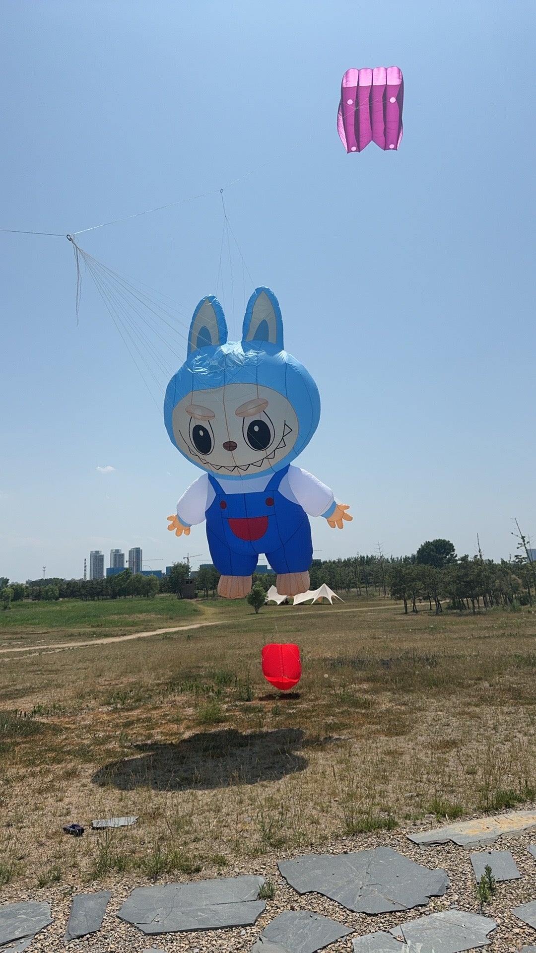 9KM 5m Customised Kite