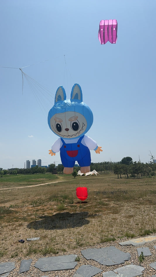 9KM 5m Customised Kite