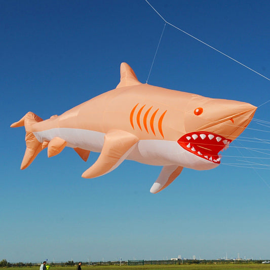 12m Shark kite