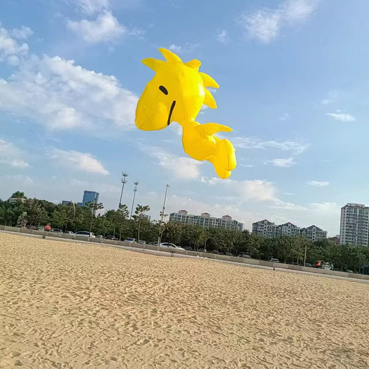 3.5m Bird kite
