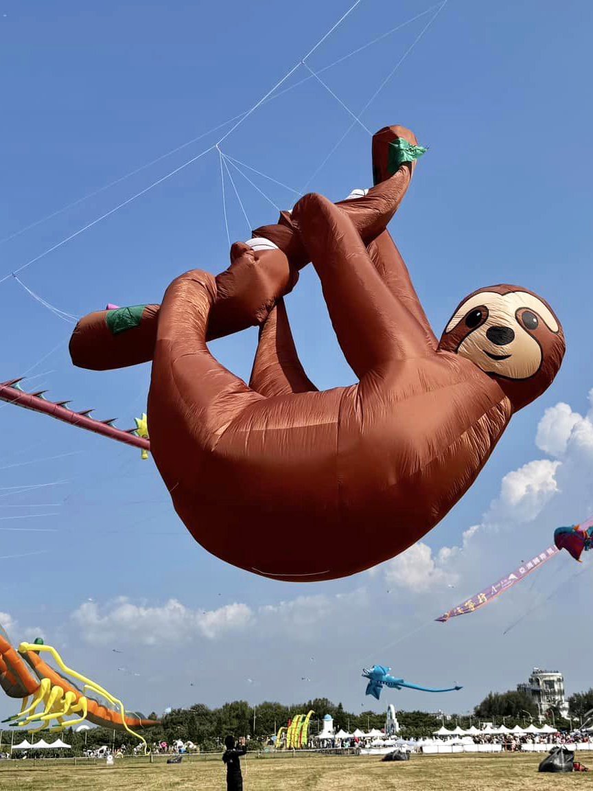Sloth Kites 9KM 3m Sloth kite Line Laundry Pendant Soft Inflatable Show Kite for K ...